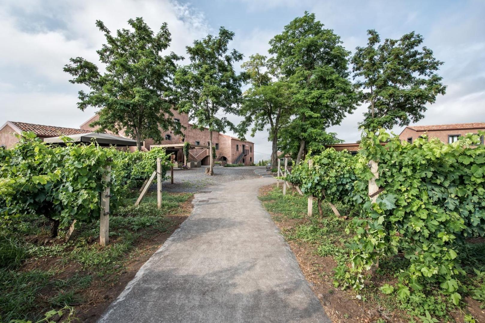 Firriato Hospitality Cavanera Etnea Resort & Wine Experience 卡迪里翁西塞尔 外观 照片
