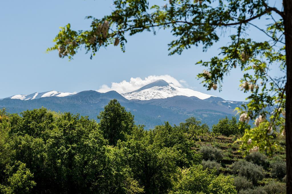 Firriato Hospitality Cavanera Etnea Resort & Wine Experience 卡迪里翁西塞尔 外观 照片